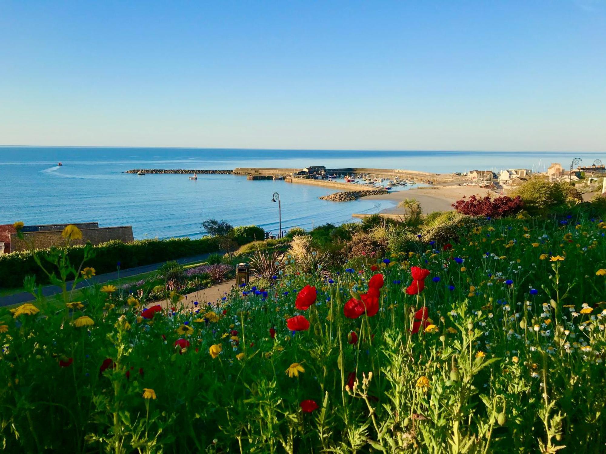 Lyme Regis Renovated Period Seaside Flat Apartment Exterior foto